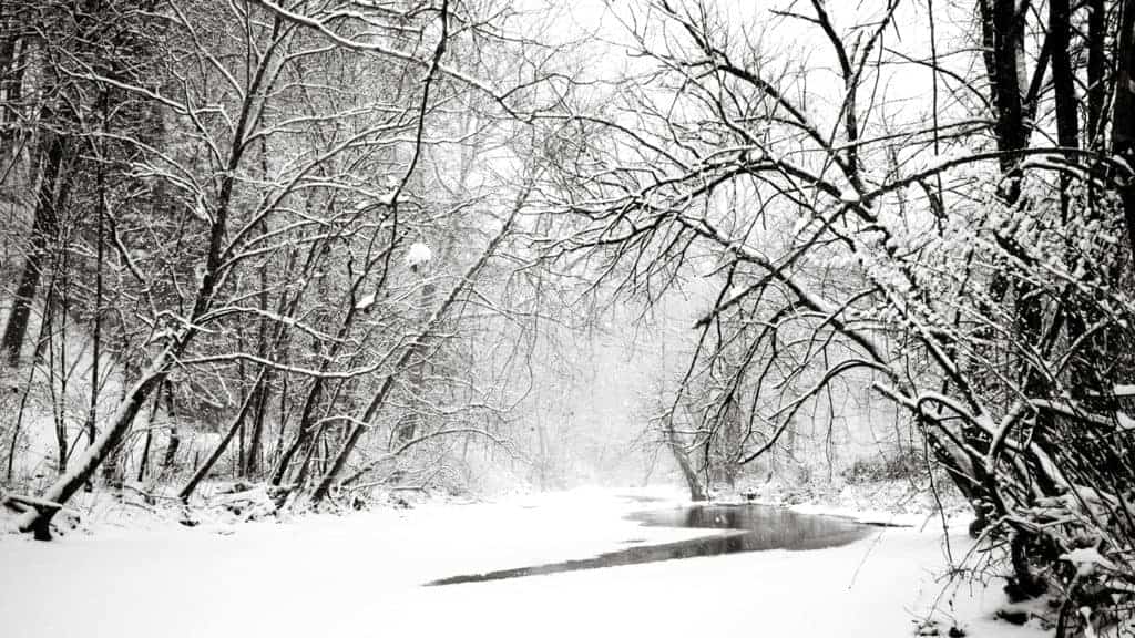 Winter Wonderland in Pittsburgh PA