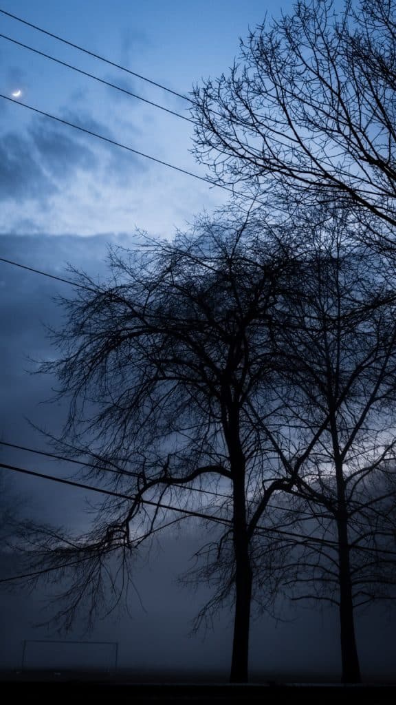 Dramatic Photography Sky Blue Hour Western Pennsylvania Night Moon Fog Tree