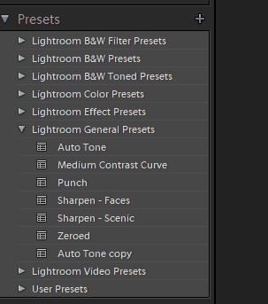 Lightroom Presets Guide Example Image Taylor Handy photography Dramatic Photography Guide