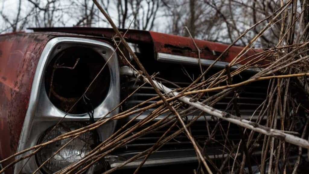 Fairlane 500 Abandoned Junked Upstate NY Classic Vintage Car TaylorHandyPhoto