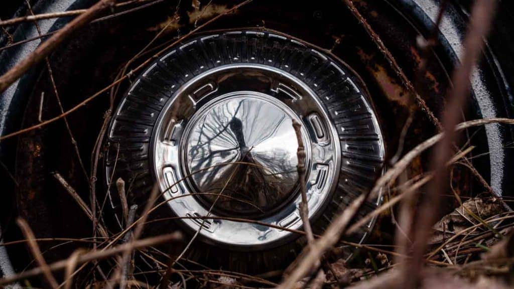 Fairlane 500 Abandoned Junked Upstate NY Classic Vintage Car TaylorHandyPhoto