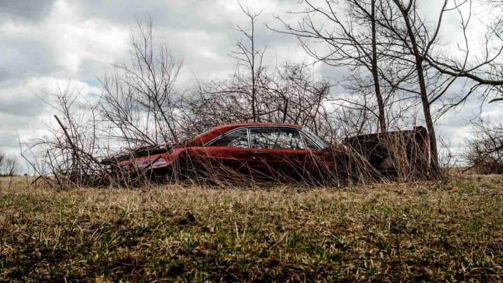 Ford Fairlane 500 Abandoned Junked Upstate NY Classic Vintage Car TaylorHandyPhoto