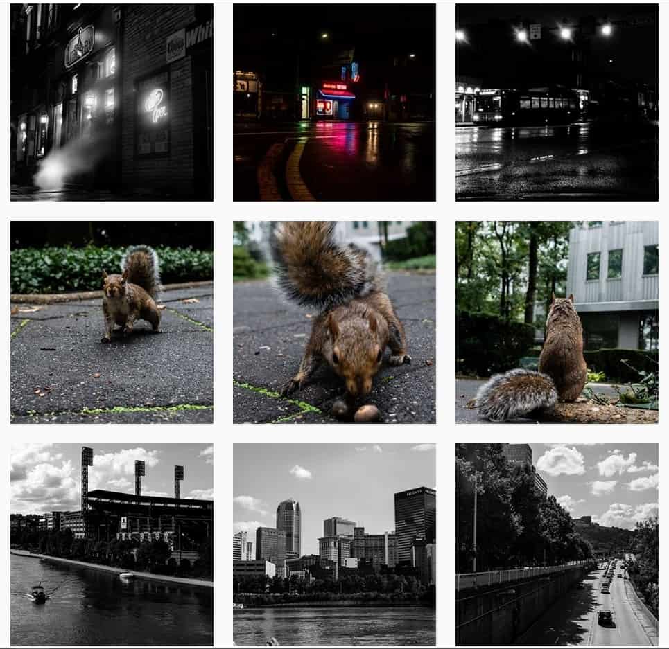 TaylorTakesPics_ Instagram, Stolen Gallery, Snipping Tool, Grid Format, Ratio, Pittsburgh, Photographer, TaylorHandyPhoto