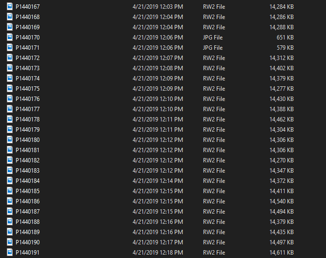 Photo File Types Import Windows JPEG, Raw