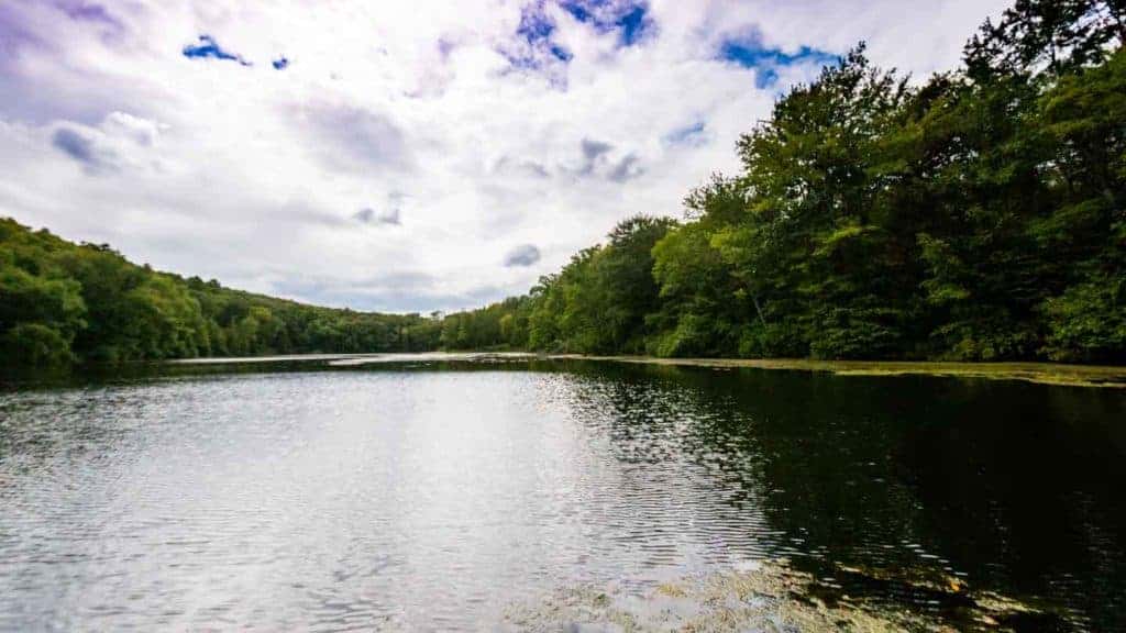 Natural Scene, Hidden lake, The Poconos, Western Pennsylvania